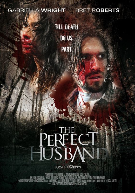 Скачать Идеальный муж (2014)