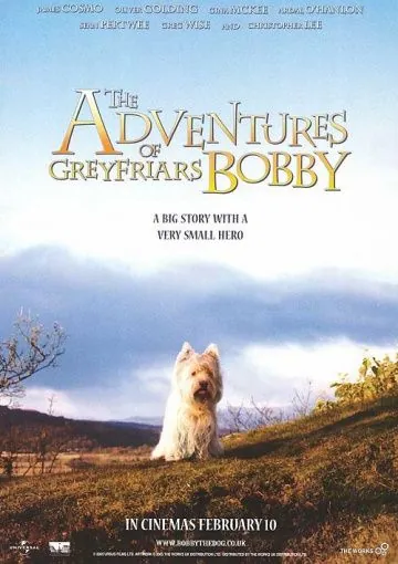 Скачать Малыш Бобби (2005)