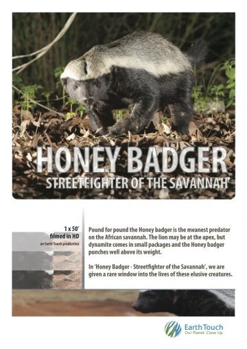Скачать Ultimate Honey Badger