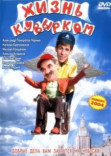 Скачать Жизнь кувырком (2003)