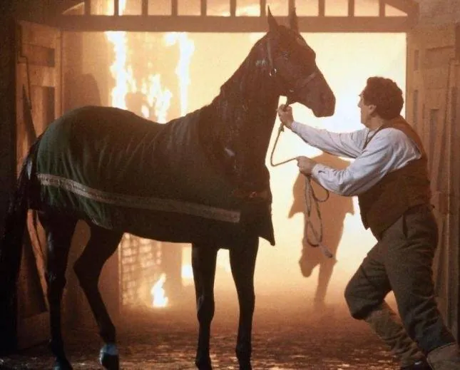 Черный красавец (1994) в хорошем качестве через торрент Черный красавец (1994) фильм в хорошем качестве через торрент