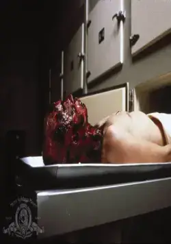 Служители дьявола (1988) через торрент бесплатно Служители дьявола (1988) фильм через торрент бесплатно