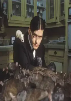 Уиллард (2003) через торрент скачать Уиллард (2003) фильм через торрент скачать