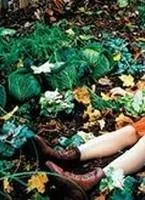 Биби – маленькая волшебница (2002) через торрент скачать Биби – маленькая волшебница (2002) фильм через торрент скачать