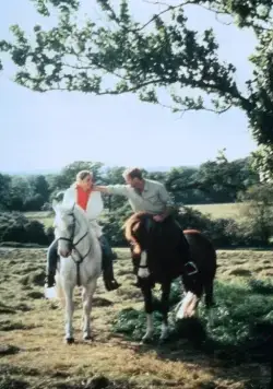 Слезы под дождем (1988) в хорошем качестве через торрент Слезы под дождем (1988) фильм в хорошем качестве через торрент