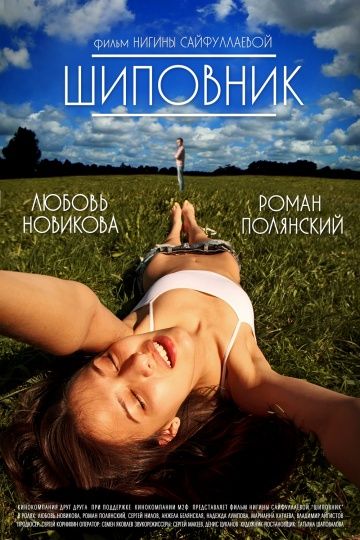Скачать Шиповник