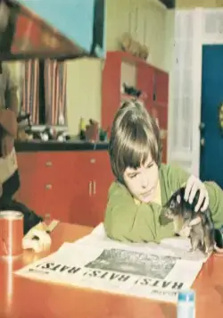 Бен (1972) через торрент бесплатно Бен (1972) фильм через торрент бесплатно