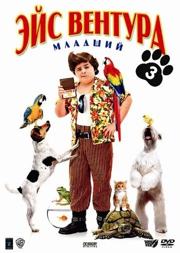 Эйс Вентура младший / Ace Ventura: Pet Detective Jr. (2009) фильм торрент Эйс Вентура младший / Ace Ventura: Pet Detective Jr. (2009) фильм скачать через торрент в хорошем качестве