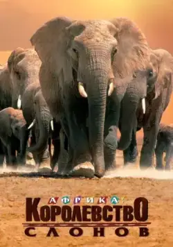 Скачать Африка – королевство слонов (1998)