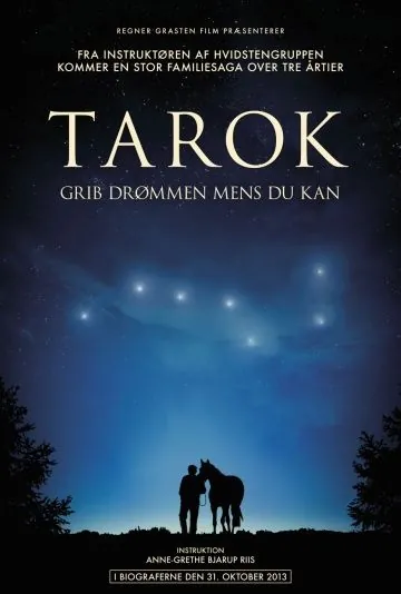 Скачать Поймать мечту (2013)
