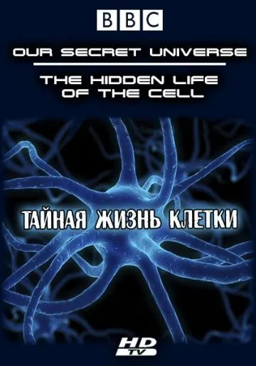 Скачать Внутренняя вселенная: Тайная жизнь клетки (2012)