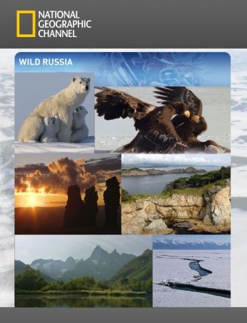 Скачать Дикая природа России