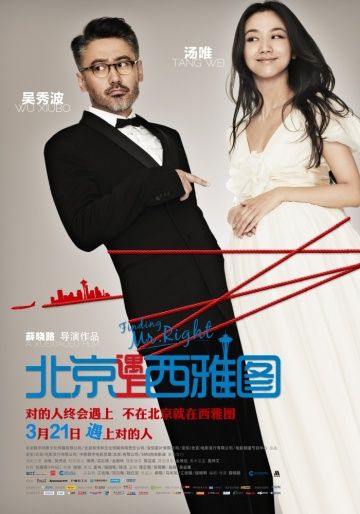 Скачать В поисках мистера Совершенство (2013)