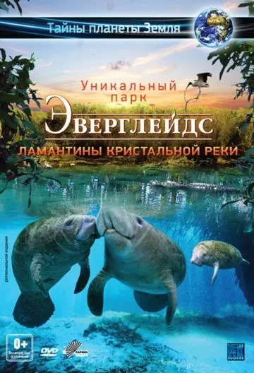 Скачать Эверглейдс 3D: Ламантины Кристальной реки (2012)