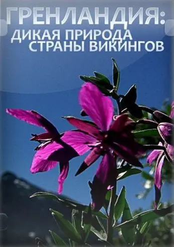 Скачать Гренландия: Дикая природа страны викингов