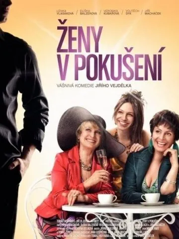 Скачать Женщины в соблазне (2010)