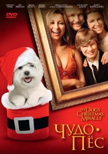 Чудо-пес / My Dog's Christmas Miracle (2011) фильм торрент Чудо-пес / My Dog's Christmas Miracle (2011) фильм скачать через торрент в хорошем качестве