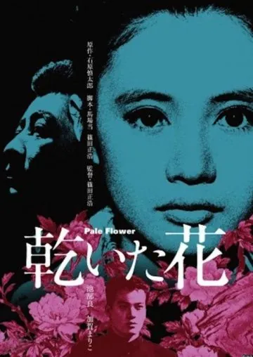 Бледный цветок / Kawaita hana (1964) фильм торрент Бледный цветок / Kawaita hana (1964) фильм скачать через торрент в хорошем качестве