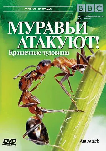 Скачать BBC: Муравьи атакуют[xfgiven_year1] ()[/xfgiven_year1]