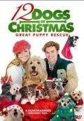 12 рождественских собак 2 / 12 Dogs of Christmas: Great Puppy Rescue (2012) фильм торрент 12 рождественских собак 2 / 12 Dogs of Christmas: Great Puppy Rescue (2012) фильм скачать через торрент в хорошем качестве