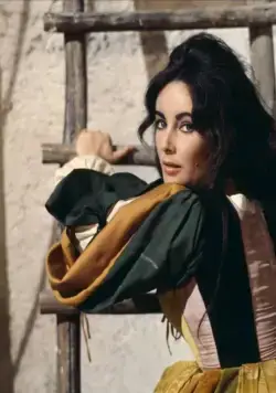 Укрощение строптивой (1967) через торрент бесплатно Укрощение строптивой (1967) фильм через торрент бесплатно