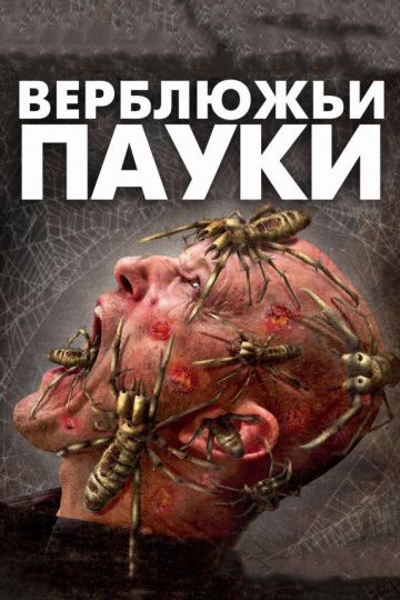 Скачать Верблюжьи пауки