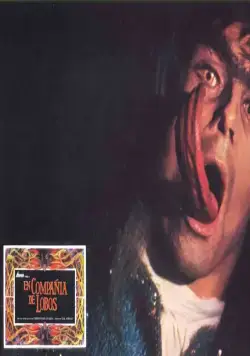 В компании волков (1984) через торрент бесплатно В компании волков (1984) фильм через торрент бесплатно