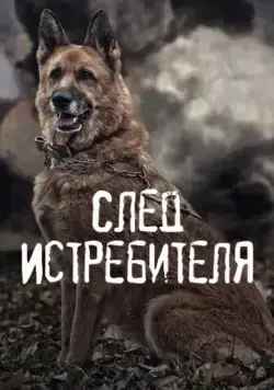 След Истребителя (2015) через торрент бесплатно Скачать След Истребителя (2015) через торрент бесплатно