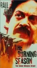 Скачать Огненный сезон (1994)