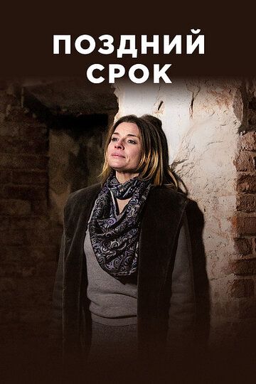 Поздний срок скачать торрент или смотреть онлайн