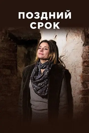 Поздний срок скачать торрент или смотреть онлайн