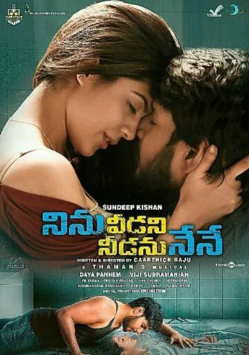 Ninu Veedani Needanu Nene (2019) торрент
