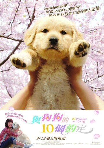 Скачать 10 обещаний моей собаке (2008)
