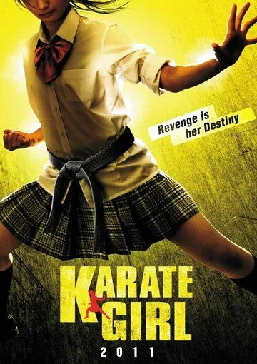 Каратистка (2011) торрент