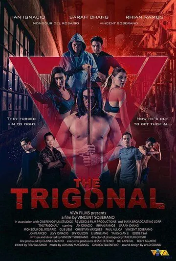 Тригонал: Борьба за справедливость (2018) торрент
