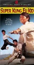 Скачать Парень суперкунгфуист (1973)