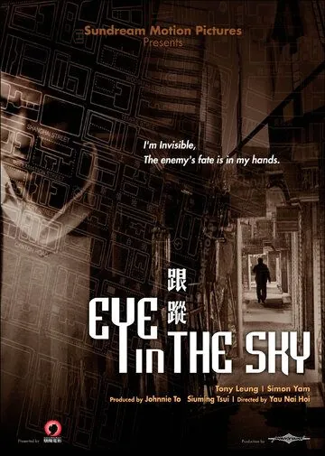 Скачать Око небесное (2007)