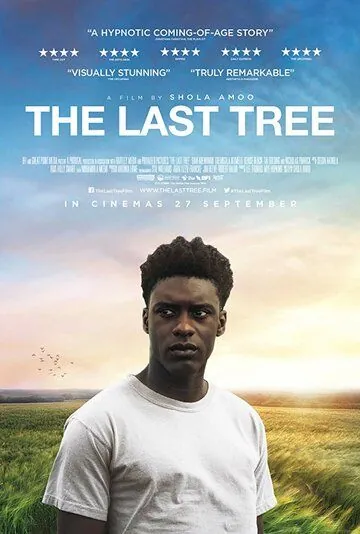 Последнее дерево (2019) торрент