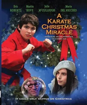 Скачать Рождественское чудо в стиле карате (2019)