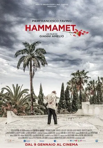Скачать Hammamet (2020) через торрент бесплатно
