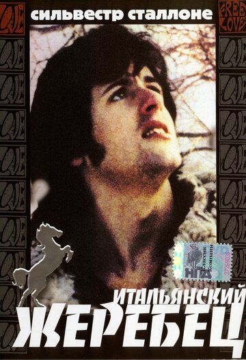 Скачать Итальянский жеребец (1970)