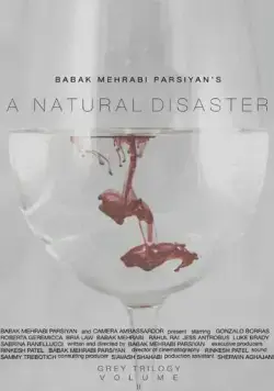 A Natural Disaster (2016) торрент