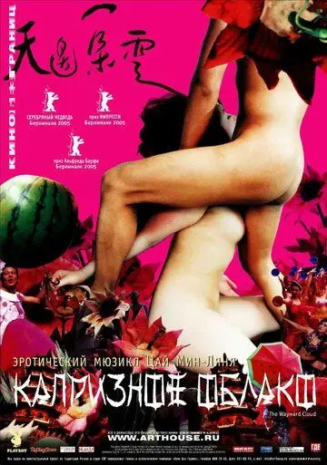 Скачать Капризное облако (2005)