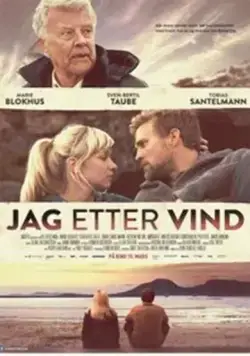 Скачать Погоня за ветром (2013)