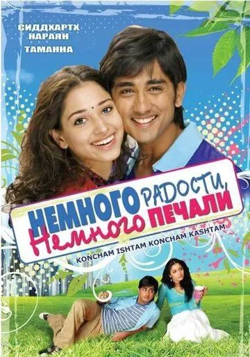 Немного радости, немного печали (2009) торрент