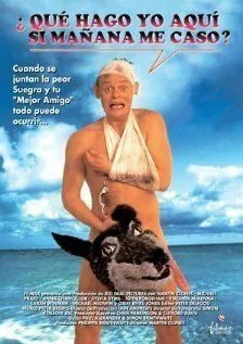 Скачать Особенности холостяцкой вечеринки (1994)