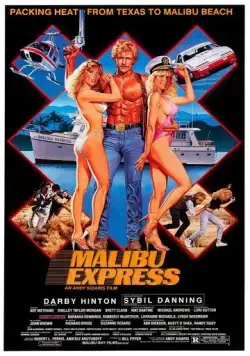 Малибу-экспресс (1985) торрент