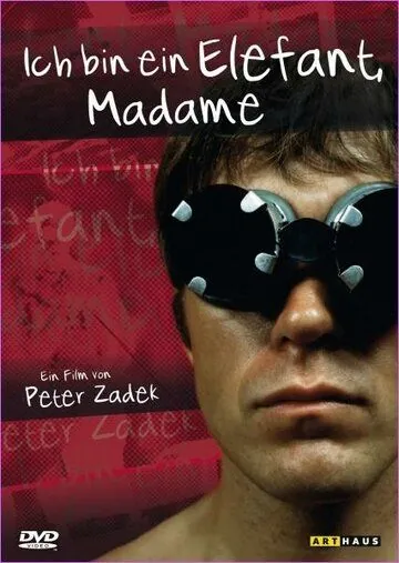 Я слон, мадам (1969) торрент