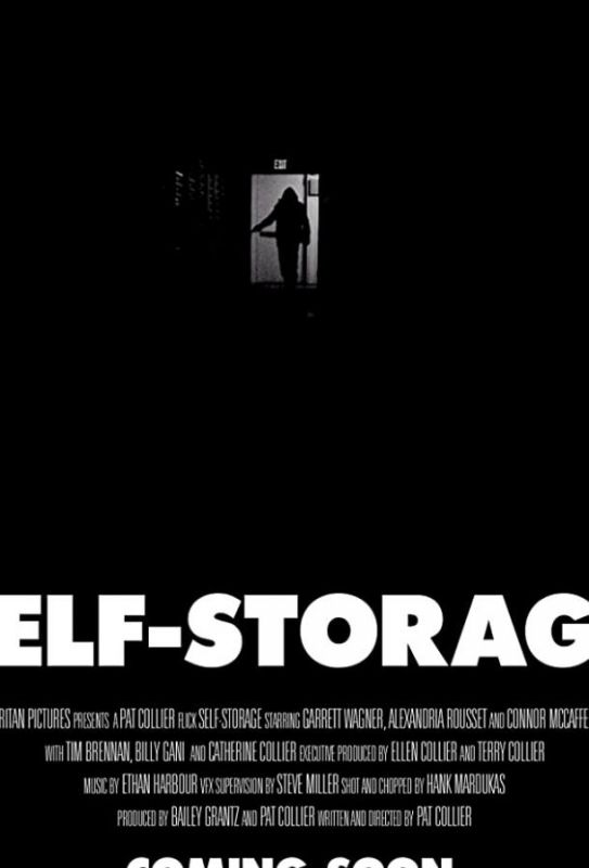 Скачать Self-Storage