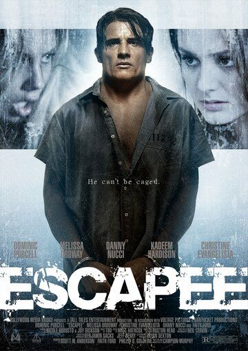 Скачать Беглец (2011)